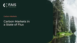 Carbon Markets in a State of Flux