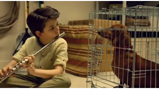 Такса ( Wiener-Dog )  трейлер Смотреть онлайн в HD