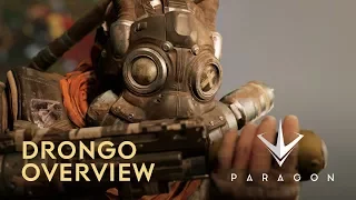 Paragon - Drongo Overview