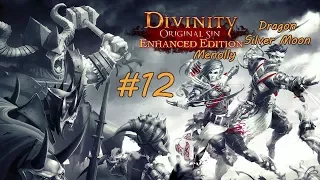 Большой забег Divinity Original Sin Серия 12 "Искромастер 5000 и пляжные разбойники"