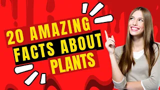 Here are 20 Amazing Facts about Plants that I Bet you didn't know | Nature is the Art of God