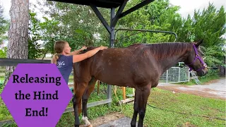 Horse Massage Haunches Relief Navicular Challenges Brownie Part 3