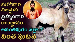 Did Brahmam Gari Kalagnanam on Goat Become True? | Brahmendra Swamy Prediction | Tollywood Nagar