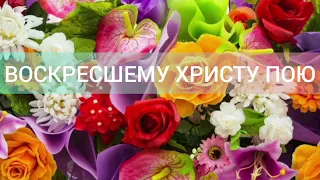 Воскресшему Христу пою(Христианская песня)