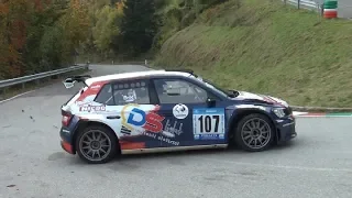 PEDAVENA CROCE D'AUNE 2019 BRIK SKODA FABIA R5