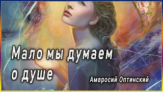 ✞ О том, сколь много мы заботимся о теле, и сколь мало о душе - преподобный Амвросий Оптинский