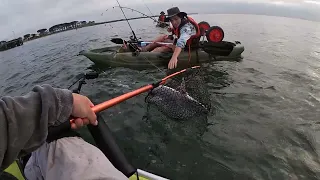 GUMMY SHARK, HELPING A 15 YEAR OLD LAND HIS FIRST ONE