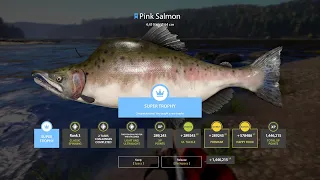 Russian Fishing 4 - Lower Tunguska - Pink Salmon Super Trophy Spot