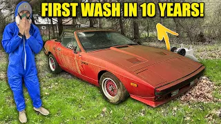 First Wash In 10 Years: TVR 280i INFESTED with Ants!| Car Detailing Restoration