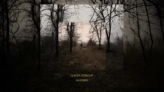 Gavin Stroup - Bluebird (Official Audio)