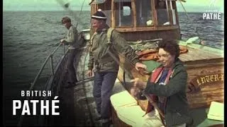 Shark Fishing At Looe (1966)