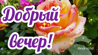 ДОБРЫЙ ВЕЧЕР! Осенние тайны Видео пожелание доброго вечера! Музыкальная открытка добрый вечер