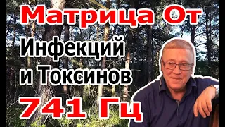 Матрица 741 Гц Очистит От Инфекций и Токсинов Как Повысить Иммунную Систему