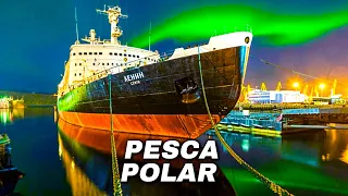Altamar Polar: El Corazón Marinero del Ártico y su Luz de Esperanza