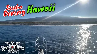 Kona Diving in Hawaii Big Island | Kona Honu Divers