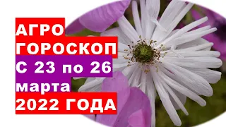 Агрогороскоп с 23 по 26 марта 2022 года