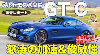 メルセデス AMG GT C クーペ 2021【試乗レポート】ヤバいくらいの怒涛の加速!! 車体の動きも驚異的な完成度!! MERCEDES-AMG GT E-CarLife with 五味やすたか