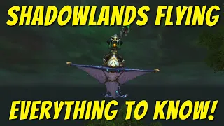 Unlocking Flying In Shadowlands: EVERYTHING you need to know!