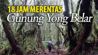 Gunung Yong Belar, Kenapa Orang Sanggup ke Sini? Camping Hiking Mossy Forest