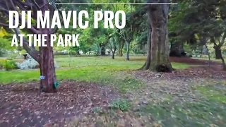 Mavic Pro test flight in the park (links bellow)