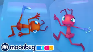 Frozen in Ice! | Antiks | Learn ABC 123 | Fun Cartoons | Moonbug Kids