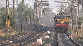 Dog On A Suicide Mission ! Changes His Mind In Last Minute Against Awsome Nandigram Express !!!!!!!!