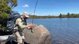 Brown trout fishing Tasmania's Western Lakes