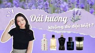 [TỪ ĐIỂN NƯỚC HOA] Thành phần chủ đạo gợi lên sự cuốn hút nước hoa nam - Oải hương | Missi Perfume