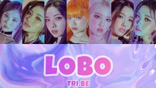 TRI.BE（トライビー/트라이비） - LOBO（로보） 【カナルビ/日本語訳/パート分け/日本語字幕】