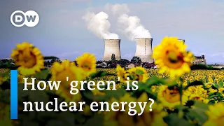 Is nuclear energy a viable option against climate change? | DW News