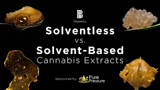 Cannabis Concentrates for Beginners: Solventless vs. Solvent-Based Extracts