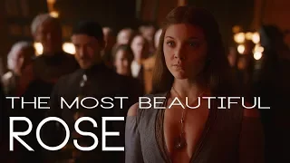 (GoT) Margaery Tyrell || The Most Beautiful Rose