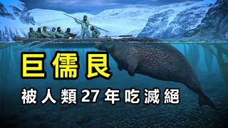 巨儒艮：因太美味，被人類27年吃滅絕