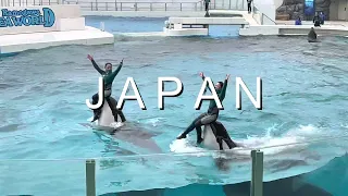 Killer Whale Orca Show Kamogawa Sea World Japan (鴨川)