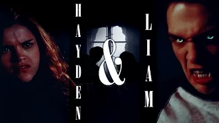 ● Hayden & Liam | Blue Blood