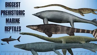 10 Biggest Sea Dinosaurs | Prehistoric Marine Reptiles