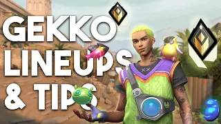 Gekko Bind Lineups and Tips - to Help You INSTANTLY Improve