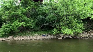 🚨Riley Strain💥Cumberland River | Riley's Last Location Search Clip 3 (Multiple Angles/Passes)💥Clips🚨