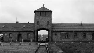 Концлагерь Освенцим: рассказы выживших