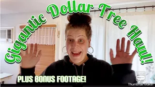 Large Dollar Tree Haul 🛍️ Plus Bonus Walkthrough Footage! February 27, 2024