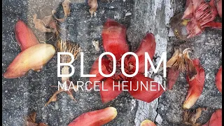 The Making of Bloom