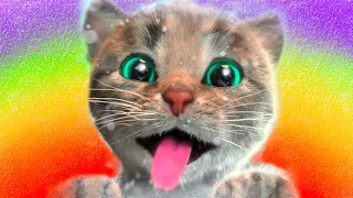 LITTLE KITTEN MY FAVORITE  -  EDUCATION CARTOON ANIMATION FOR KIDS AND TODLLER CAT STORY