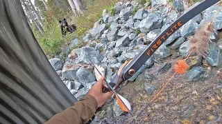 Trad bowhunter stalks bear through CULVERT