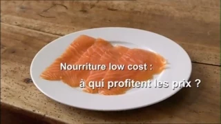 Nourriture low-cost: À qui profitent les prix? (France 5)