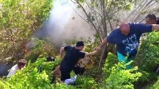 Watch Group of Strangers Form Human Chain To Rescue Driver After Car Crash