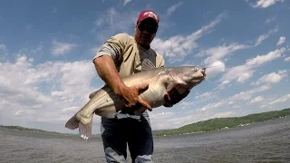 Catfishing - Catching Big Blue Catfish From The Bank Lake Guntersville