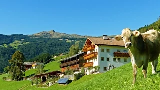 Urlaub auf dem Bauernhof in Südtirol - Roter Hahn: Thalhofer Hof in Latzfons