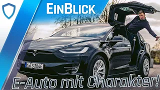 Tesla Model X Long Range (2020) - E-Auto mit CHARAKTER!