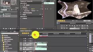 Динамические Эффекты и Работа с Ключевыми Кадрами в Adobe Premiere Pro