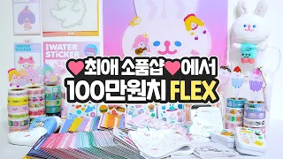 (ENG) 친구랑 최애 소품샵 털기! 🌈 집 꾸미기 & 다꾸 아이템 100만원치 쇼핑했어요 💛 with 더 리코더 팩토리 & 츄삐chupi